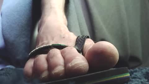 Greedy Fred online show from 02.18.26