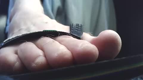 Greedy Fred online show from 03.10.26