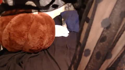 free4haul online show from 09.15.25