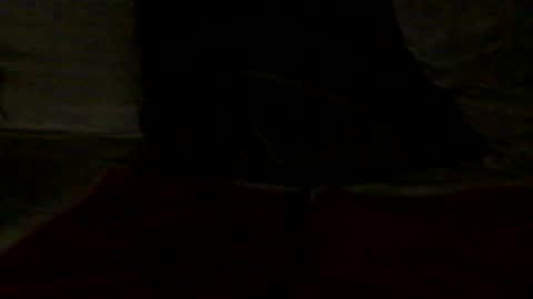 Snapshot of french_dick_20 chatting on 06.13.26 french_dick_20 online show from 06.13.26