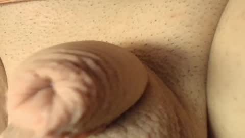 Meadow online show from 03.07.26