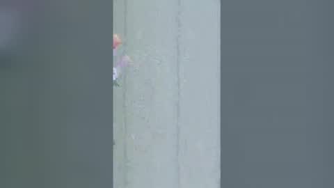 La online show from 03.16.26