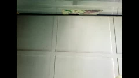 Snapshot of fucmebudoo chatting on 12.19.24 Warwick online show from 12.19.24