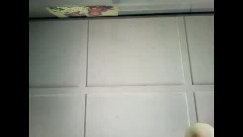 Snapshot of fucmebudoo chatting on 12.29.24 Warwick online show from 12.29.24