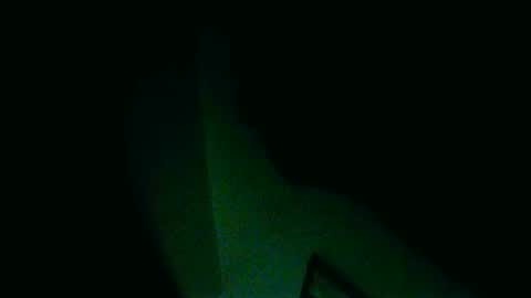 Snapshot of fultonstreet196860 chatting on 12.30.24 fultonstreet196860 online show from 12.30.24