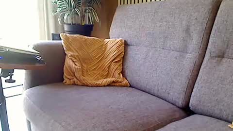 fun4couples online show from 06.19.26