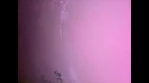 Daniel kim online show from 11.17.25