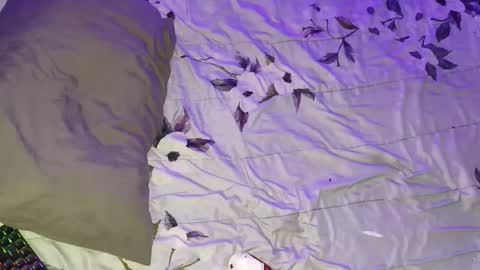 gabriel online show from 03.16.26