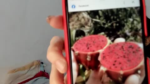 Snapshot of gabriela_duarte chatting on 01.19.25 Gabi online show from 01.19.25