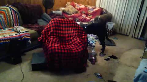 gamerfiend420 online show from 10.17.25