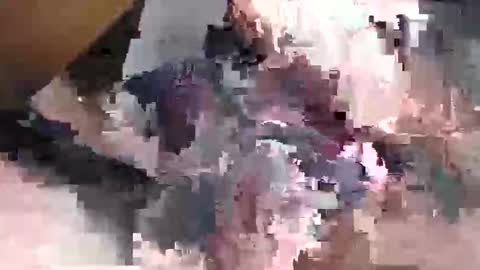 Gansozo online show from 11.23.25