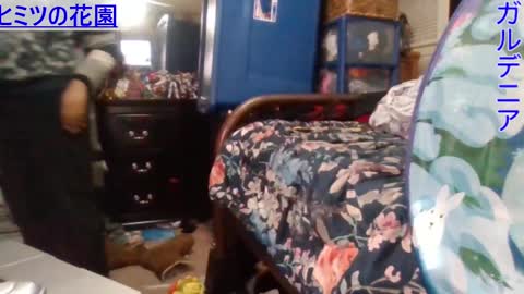 Snapshot of gardeniaspear chatting on 12.24.24 Gardenia online show from 12.24.24