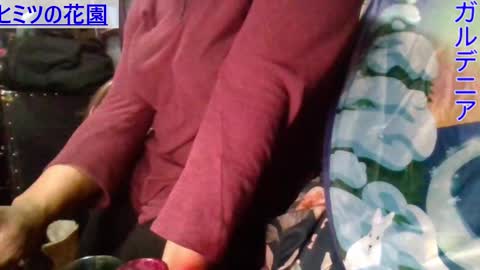 Snapshot of gardeniaspear chatting on 01.09.25 Gardenia online show from 01.09.25