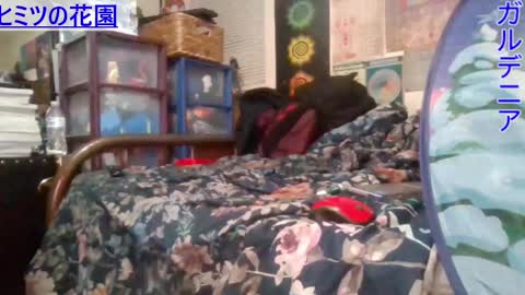 Snapshot of gardeniaspear chatting on 02.26.25 Gardenia online show from 02.26.25