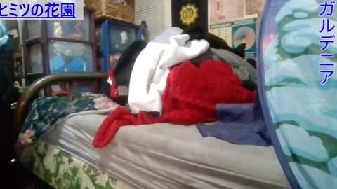 Snapshot of gardeniaspear chatting on 03.01.25 Gardenia online show from 03.01.25