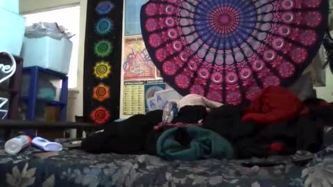 Gardenia online show from 03.29.26