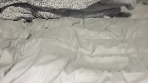 G online show from 04.27.26