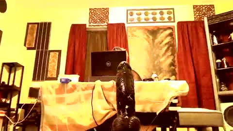 Snapshot of gatewaylaptop2019 chatting on 03.09.25 gatewaylaptop2019 online show from 03.09.25