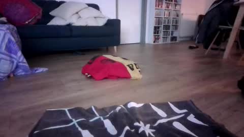 gaypuppychaste online show from 12.23.25