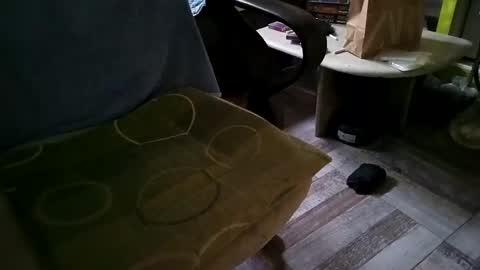 Snapshot of gazdadoka chatting on 03.12.25 gazdadjoka online show from 03.12.25