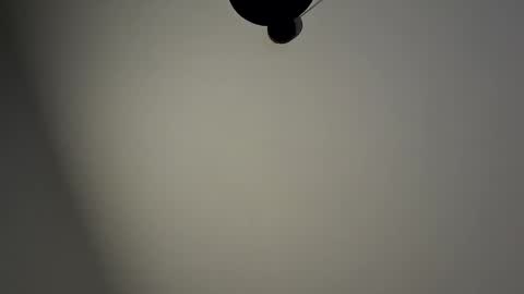 Snapshot of gazg1984 chatting on 01.29.25 gazg1984 online show from 01.29.25