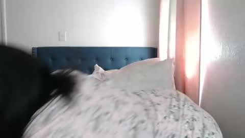 Snapshot of geishapaige chatting on 03.02.25 The Empress online show from 03.02.25