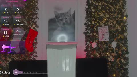 Geminis online show from 01.21.25