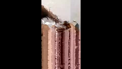 Snapshot of gemstar33184100 chatting on 04.09.26 gemstar33184100 online show from 04.09.26