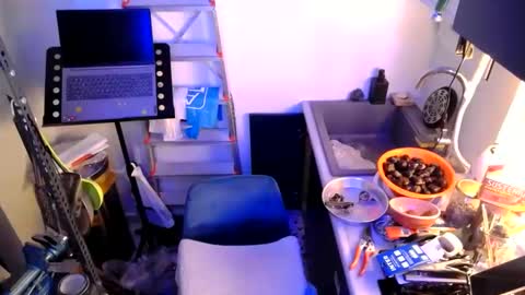 Snapshot of georgempt chatting on 01.12.25 georgempt online show from 01.12.25