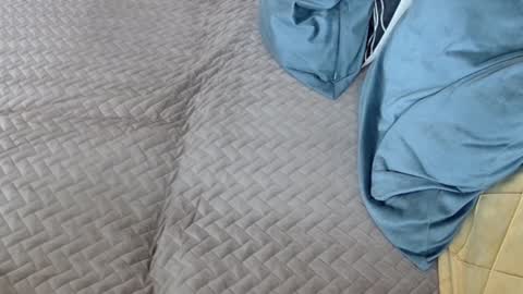 Snapshot of georgiapeachgirl chatting on 02.17.26 Melissa online show from 02.17.26