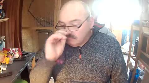 germany_50 online show from 02.08.25