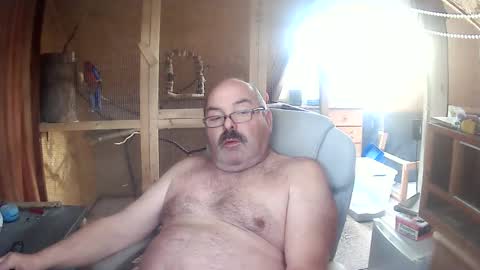 germany_50 online show from 04.09.26