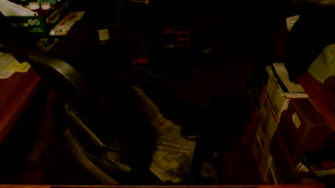 Snapshot of gfhdhr2 chatting on 03.04.25 gfhdhr2 online show from 03.04.25