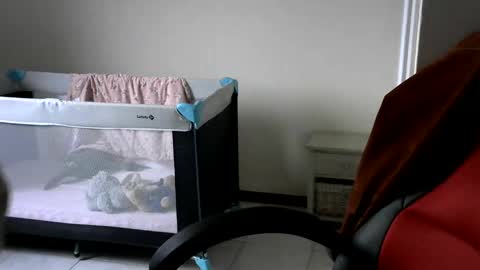 Snapshot of gh1952ma chatting on 02.24.25 Gisse online show from 02.24.25