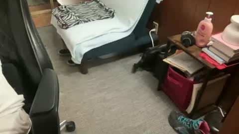 ghostboygbc online show from 04.16.26