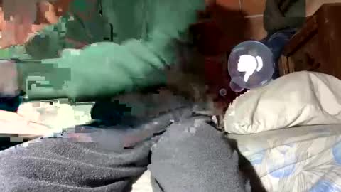 Snapshot of gicobest chatting on 01.12.25 Corrado online show from 01.12.25