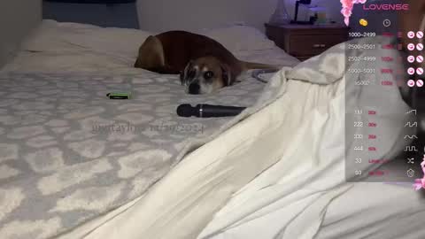 Snapshot of gigitaylorr chatting on 12.29.24 gigi online show from 12.29.24