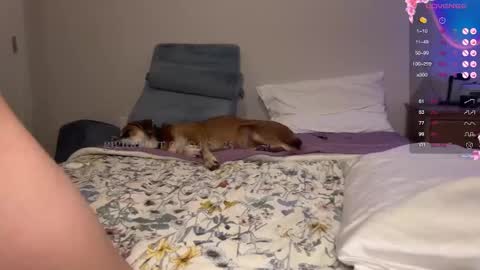 Snapshot of gigitaylorr chatting on 02.05.25 gigi online show from 02.05.25