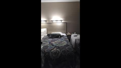 gilf_gamer online show from 03.01.26