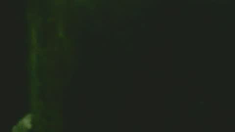 GuidoGiovan online show from 11.24.25