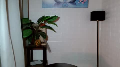 Snapshot of girlwhobelieveinmagic chatting on 01.28.25 Callmenor online show from 01.28.25