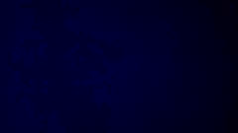 Snapshot of giuseppeciao206 chatting on 12.16.25 elen06 online show from 12.16.25