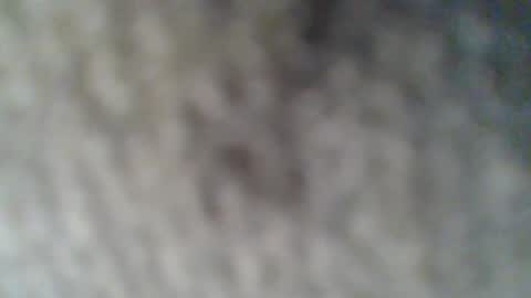 Snapshot of givr6inches chatting on 02.25.25 e-Bizl online show from 02.25.25