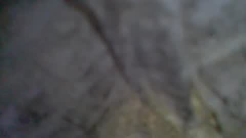 Snapshot of givr6inches chatting on 09.11.25 e-Bizl online show from 09.11.25