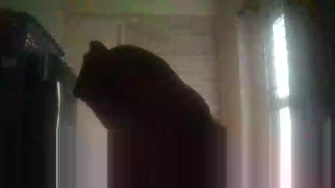 gloriakisibo548 online show from 04.18.26