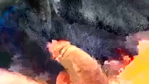 Snapshot of gman41000 chatting on 12.30.24 Gman online show from 12.30.24