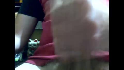 Snapshot of gmjavenger chatting on 01.17.25 PencilDick online show from 01.17.25