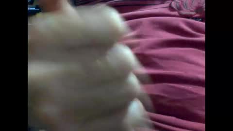 Snapshot of gmjavenger chatting on 02.09.25 PencilDick online show from 02.09.25