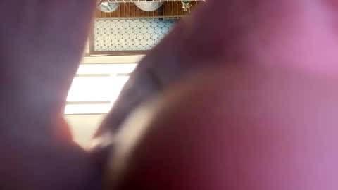 gngnxxx online show from 04.16.26