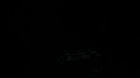 goatchocolate online show from 12.22.24